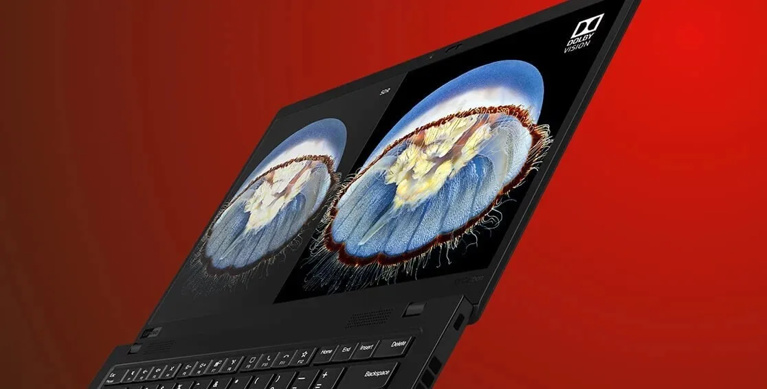 Lenovo ThinkPad X1 Carbon Gen 8 22TP2X1X1C8 (ЛЕНОВО) Lenovo ThinkPad X1 Carbon Gen 8 22TP2X1X1C8 (ЛЕНОВО)